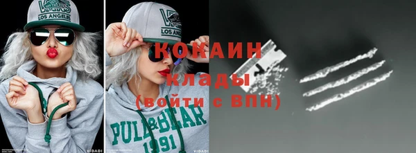 стаф Алзамай