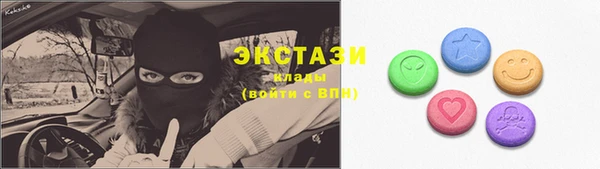 стаф Алзамай