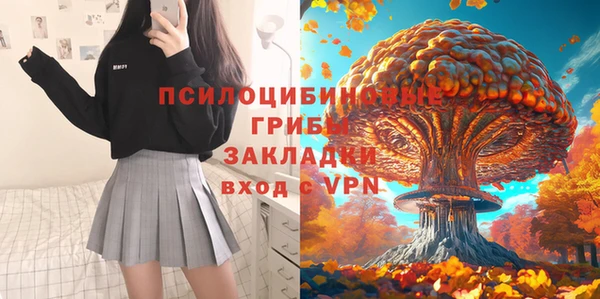 соль ск Алексин