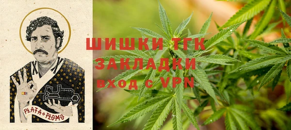 стаф Алзамай