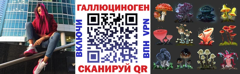 OMG tor  Чайковский  Псилоцибиновые грибы Magic Shrooms 